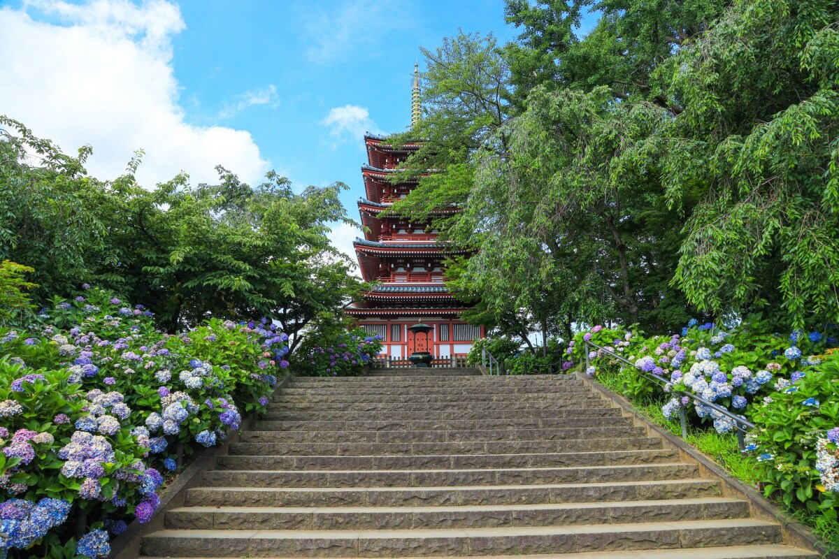 วัดฮอนโดจิ (Hondoji Temple) กับความงามของดอกไม้