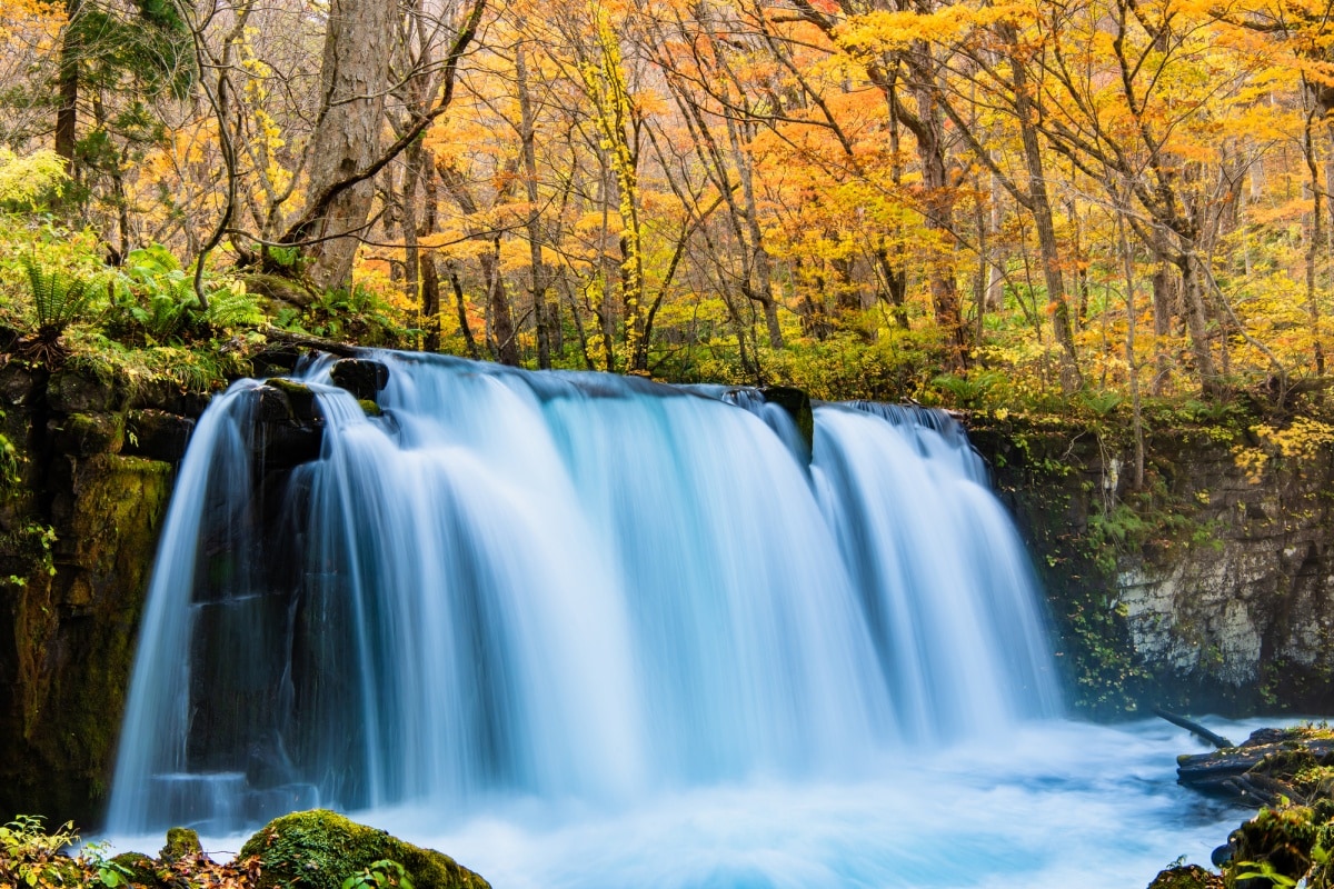 9.  ลำธารโออิราเสะ จังหวัดอาโอโมริ (Oirase Stream, Aomori)