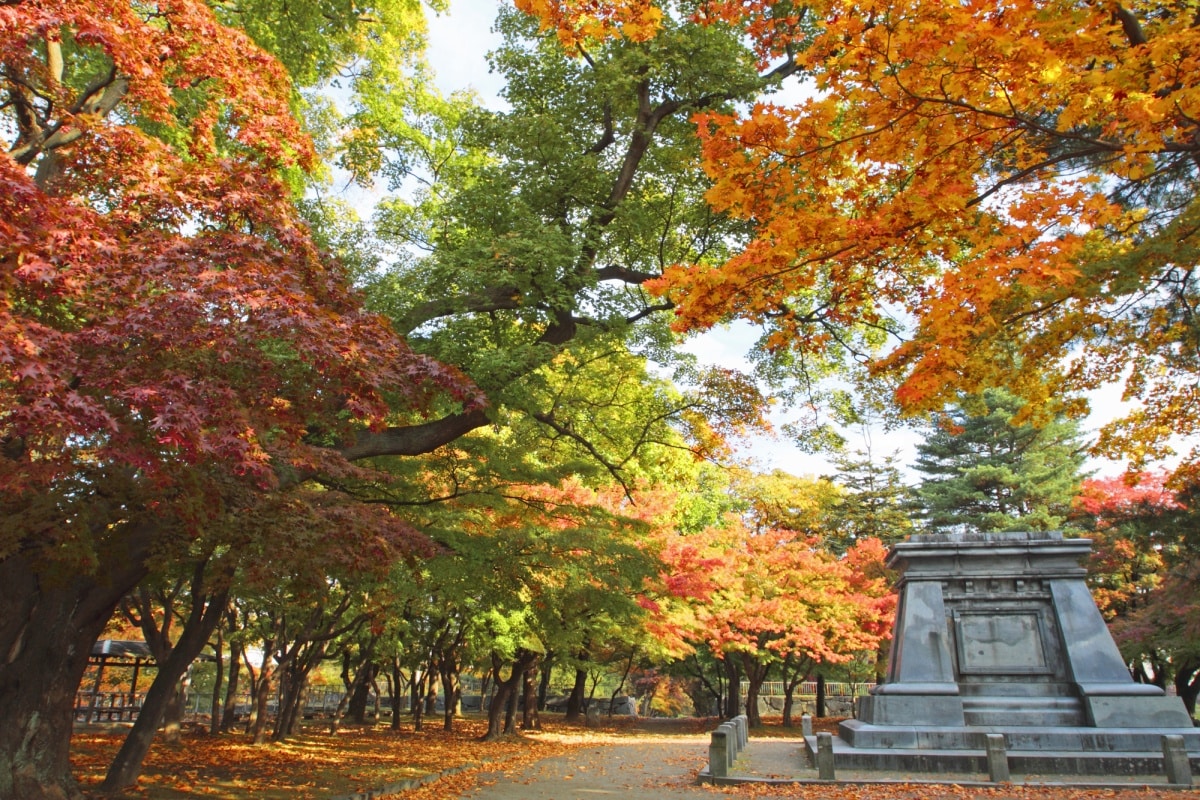 12.  สวนซากปราสาทโมริโอกะ จังหวัดอิวาเตะ (Morioka Castle Ruins Park, Iwate)