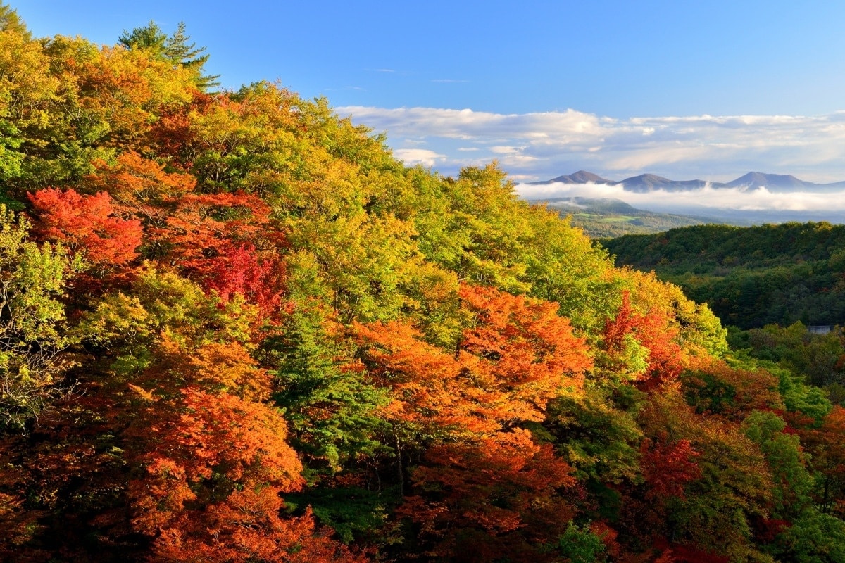 15.  ฮาชิมังไท จังหวัดอิวาเตะและอาคิตะ (Hachimantai, Iwate and Akita)