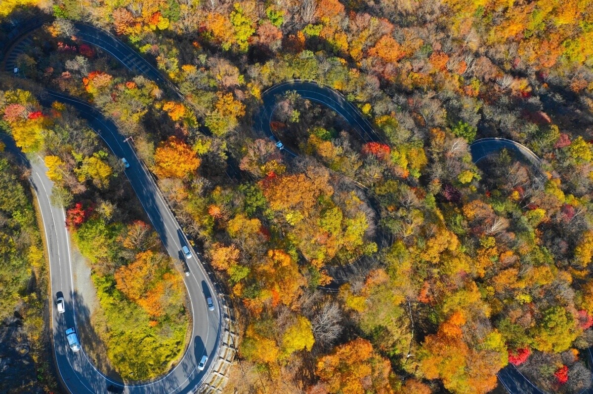 17. ถนนสายอิโรฮะซากะ จังหวัดโทชิกิ (Irohazaka Road, Tochigi)