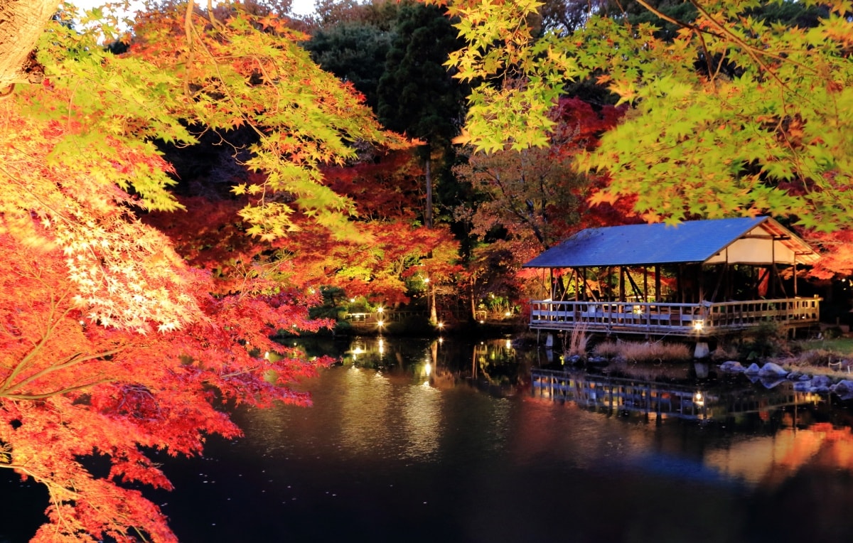 4. สวนสัตว์และสวนพฤกษศาสตร์ฮิงาชิยามะ - จังหวัดไอจิ (Higashiyama Zoo and Botanical Gardens, Aichi)