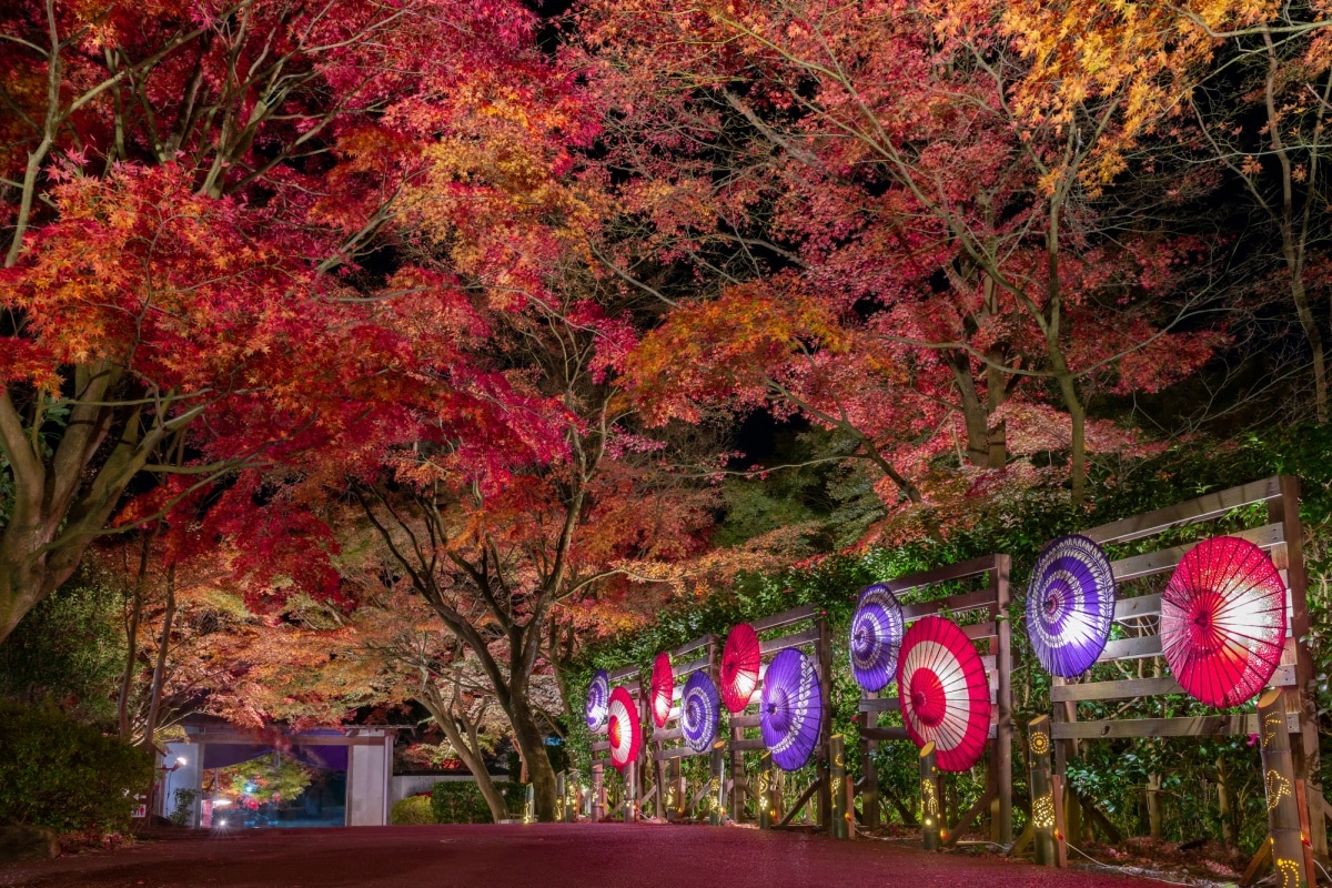 10. ชูเซ็นจิ นิจิ โนะ ซาโตะ - จังหวัดชิสึโอกะ (Shuzenji Niji no Sato, Shizuoka)