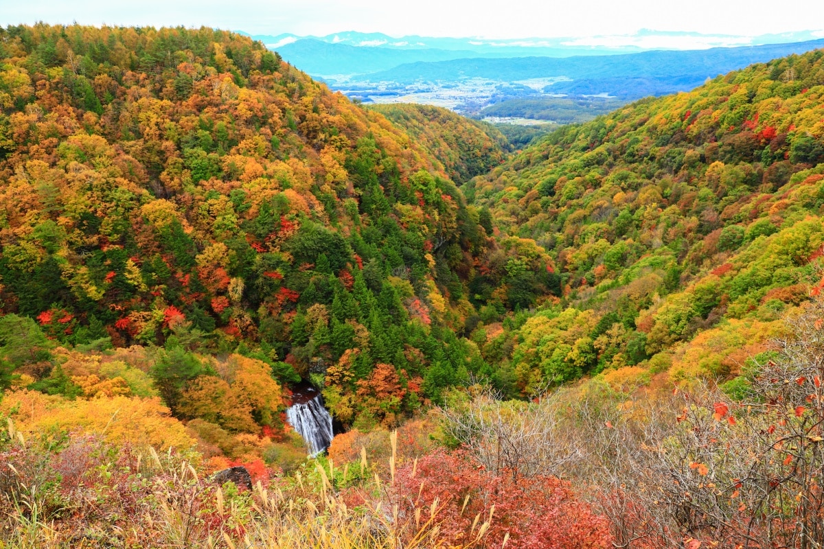 2. หุบเขาโอทากิ (Otaki Gorge)