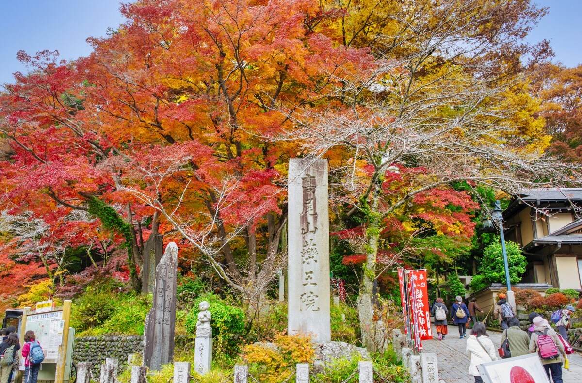 1. เทศกาลใบไม้เปลี่ยนสี ภูเขาทาคาโอะ จังหวัดโตเกียว (Takaosan Momiji Matsuri, Tokyo)