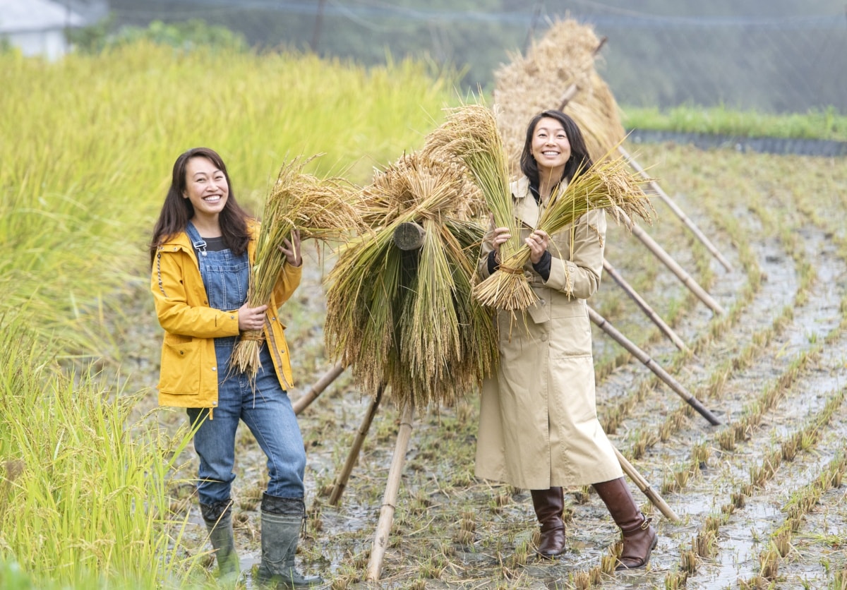 Linda Ding and Kana Watando: Canadian entrepreneurs