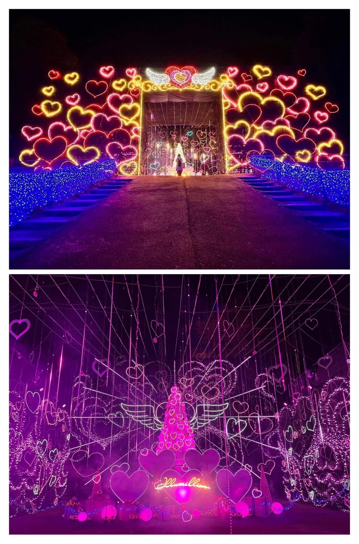 โชว์แสงสีเสียงอันสุดตระการตากับ Heart Full Illumination