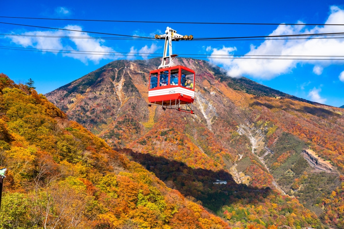 搭乘明智平纜車登高往遠，從展望台一覽日光絕美精華