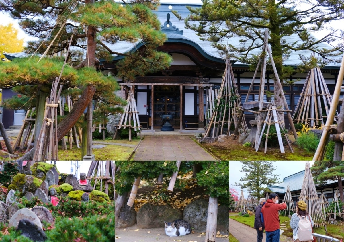 วัดชิเซ็นจิ (Chisenji Temple)：วัดพุทธที่แฝงตัวอยู่อย่างสงบตั้งแต่ก่อนยุคเอโดะ