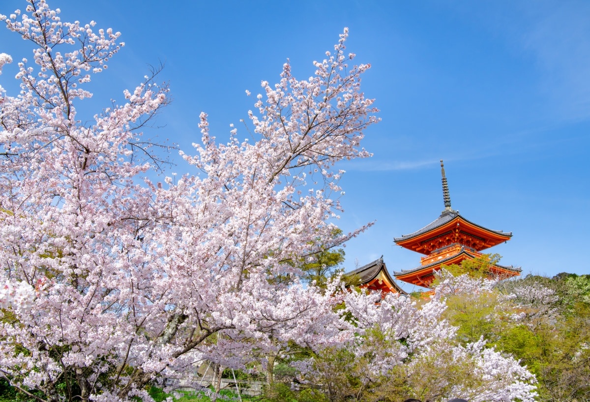 NO.3 清水寺 （京都）