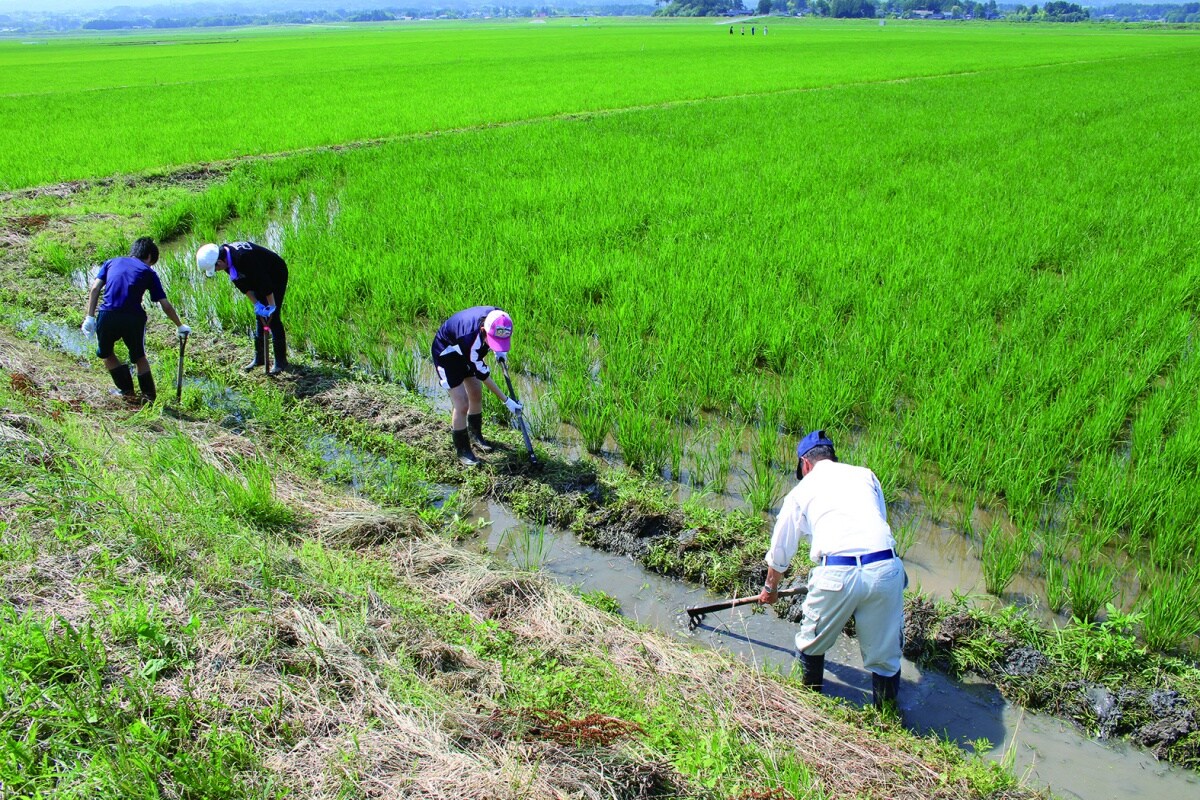 Case 2: A natural ecosystem with the crested ibis - the Sustainability Award 2021