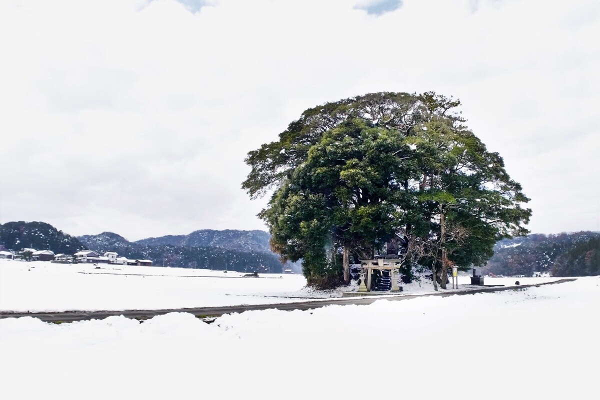 客神社