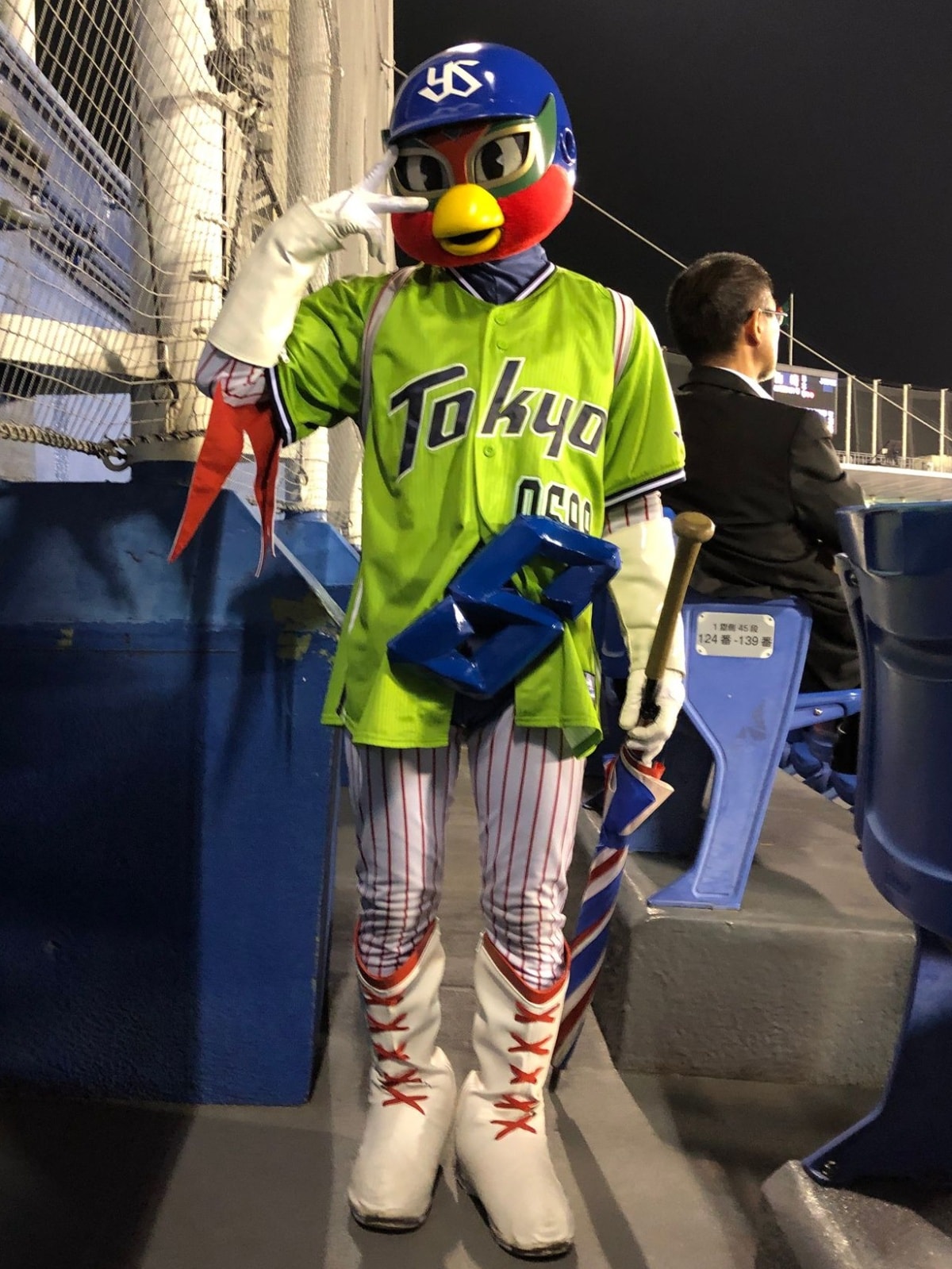 Meiji Jingu Stadium, Home of the Tokyo Yakult Swallows