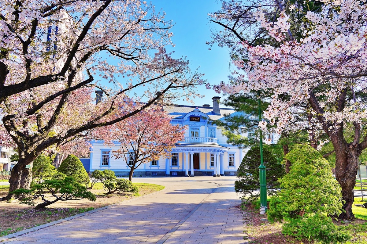 5. ชมซากุระเดือนเมษายนที่สวนนากาจิมะ (Nakajima Park)