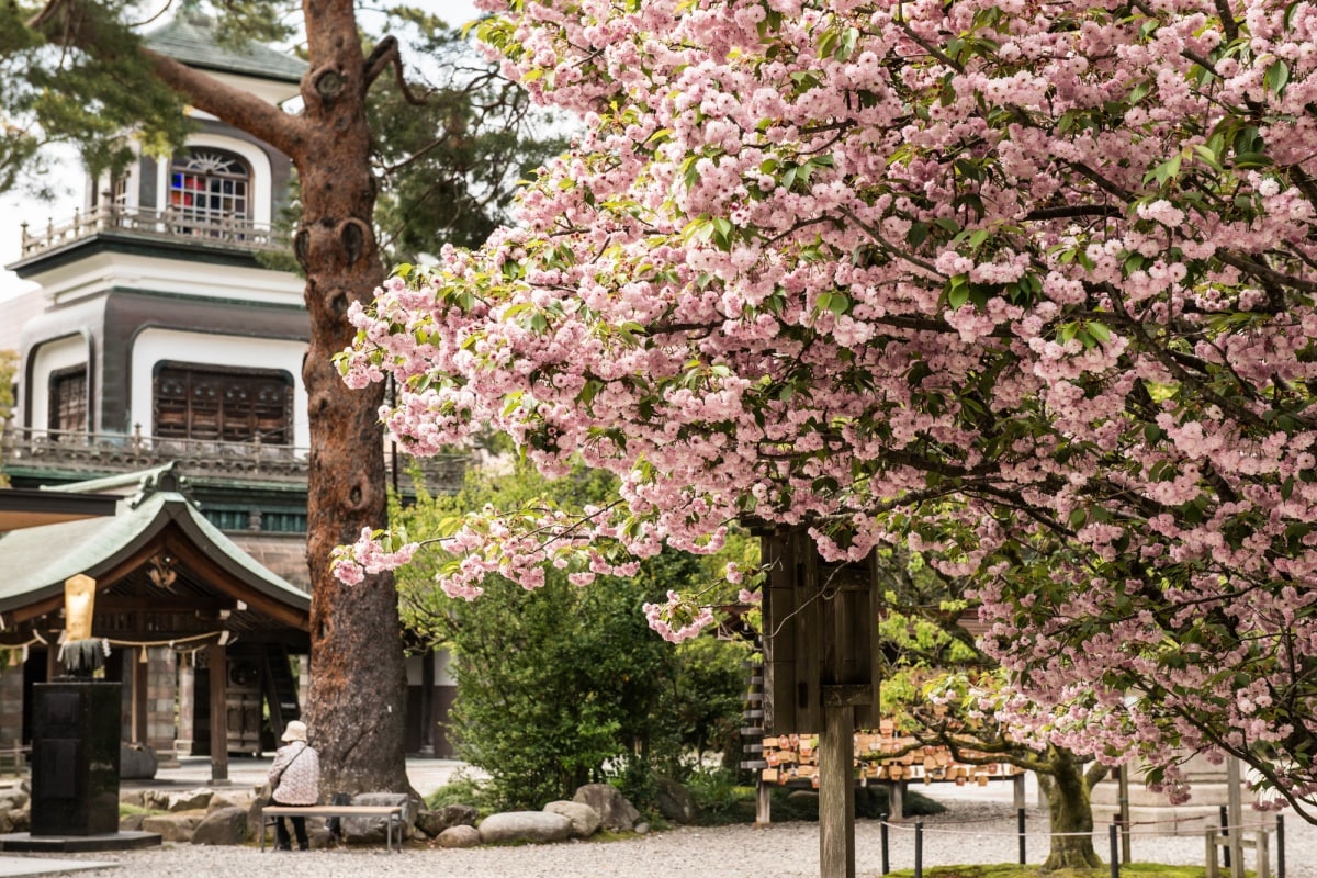 8. ศาลเจ้าโอยามะ จังหวัดอิชิคาวะ (Oyama Shrine, Ishikawa)