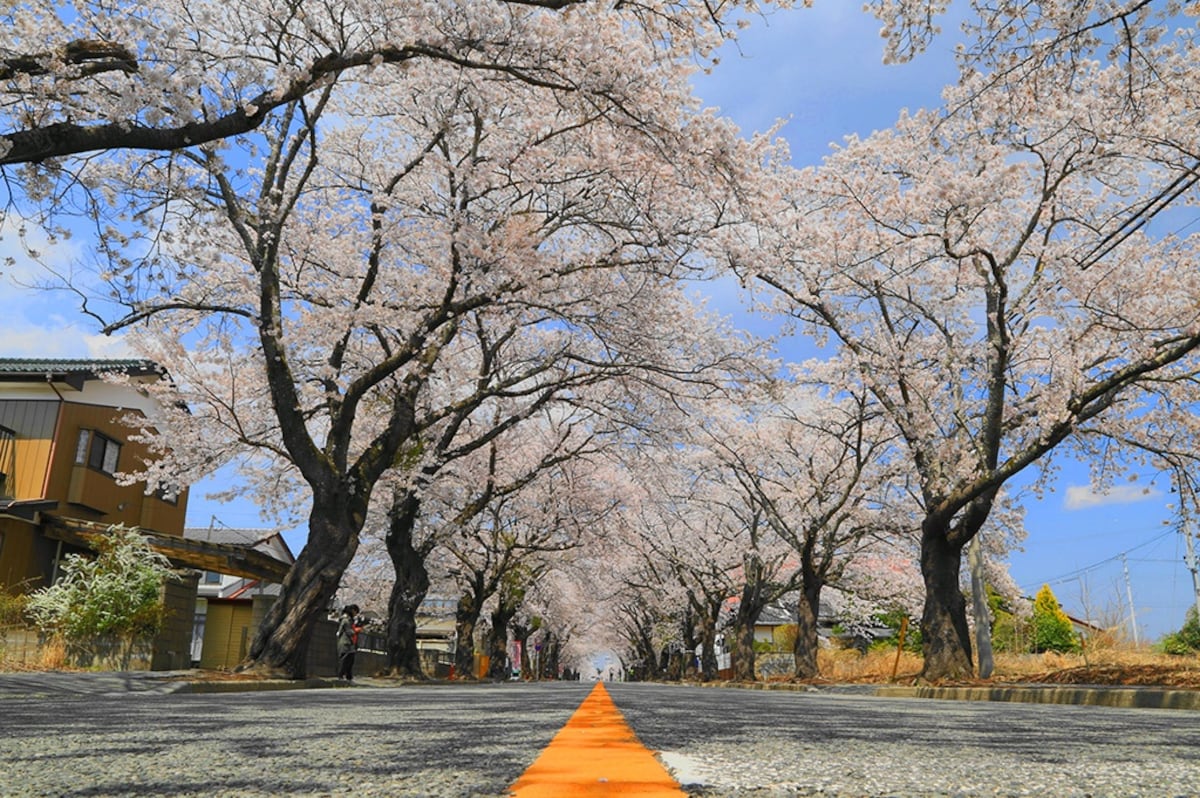 The Historical Archive Museum of Tomioka—a Hometown Remembered