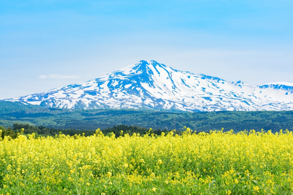 6. ภูเขาโชไค (Mt.Chokai) จังหวัดยามากาตะ (Yamagata) และอาคิตะ (Akita)