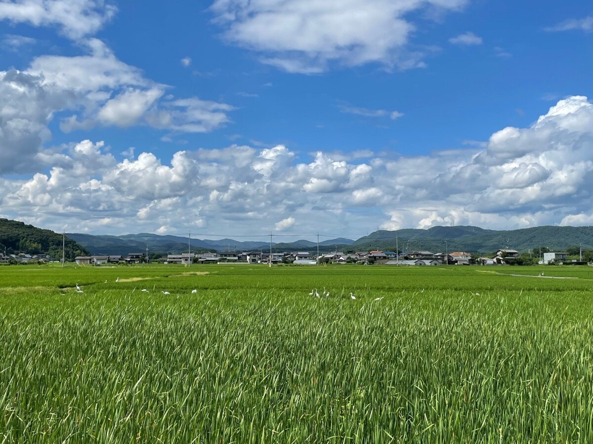 10:00 am: The Kibiji Cycling Route to Soja