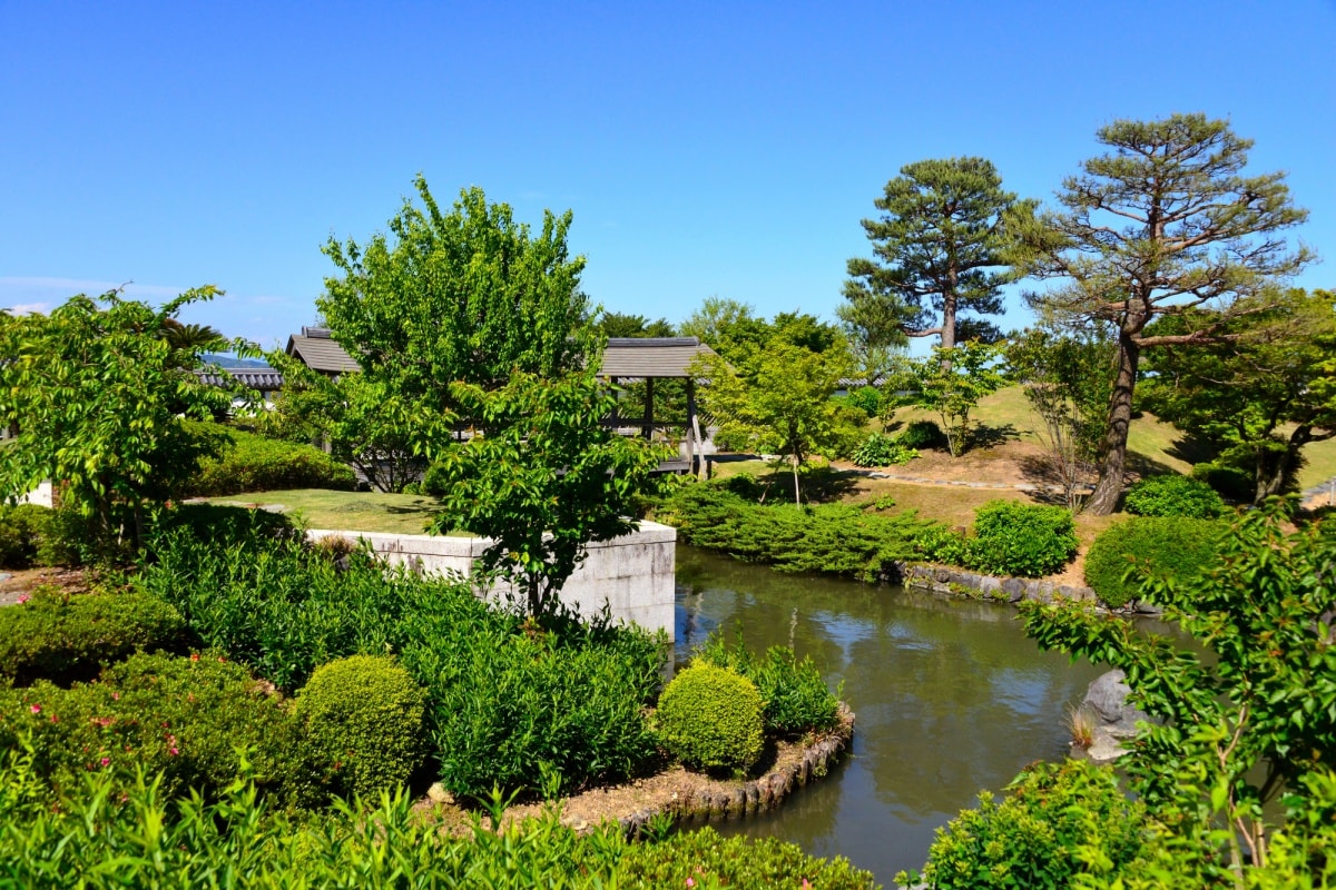 A Tea-Picking Tour at the Tea Museum