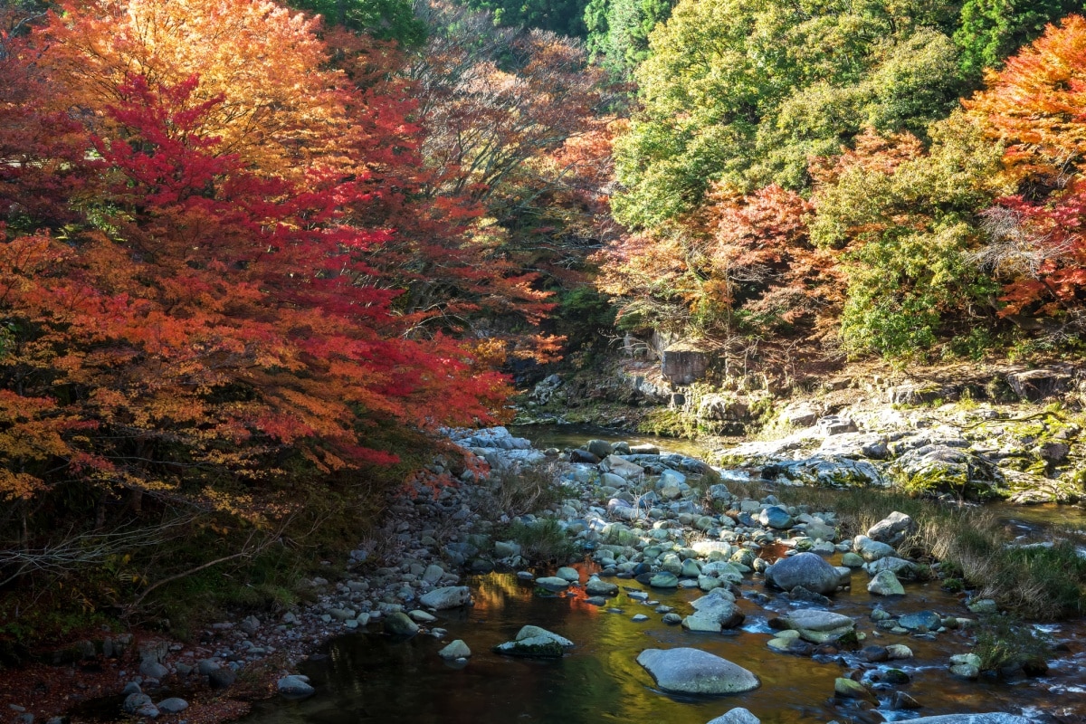 赏枫红、泡温泉秘境｜奥津溪