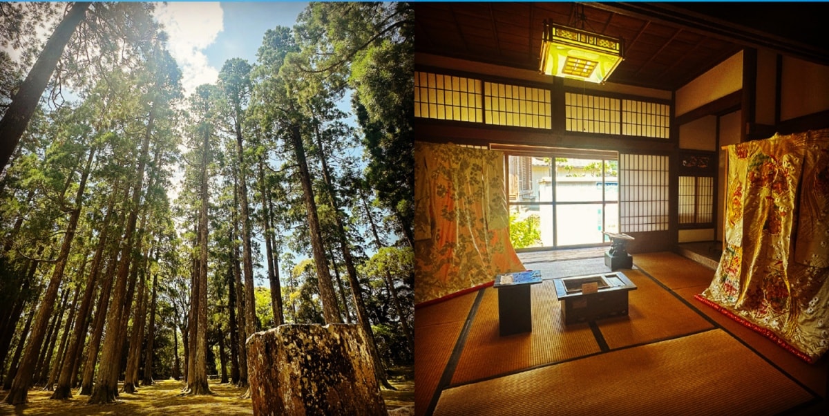 Day3: 九州小京都饫肥城+青岛神社“鬼的洗衣板”