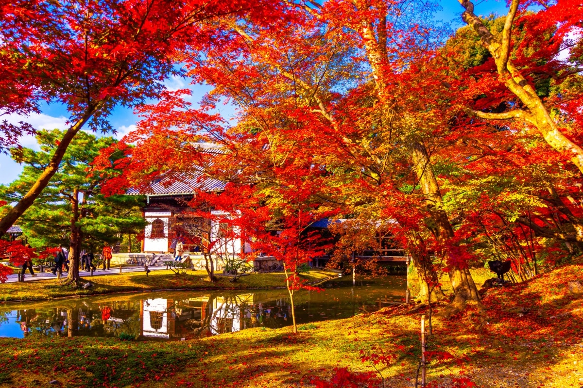 3. วัดโคไดจิ (Kodaiji: 高台寺)