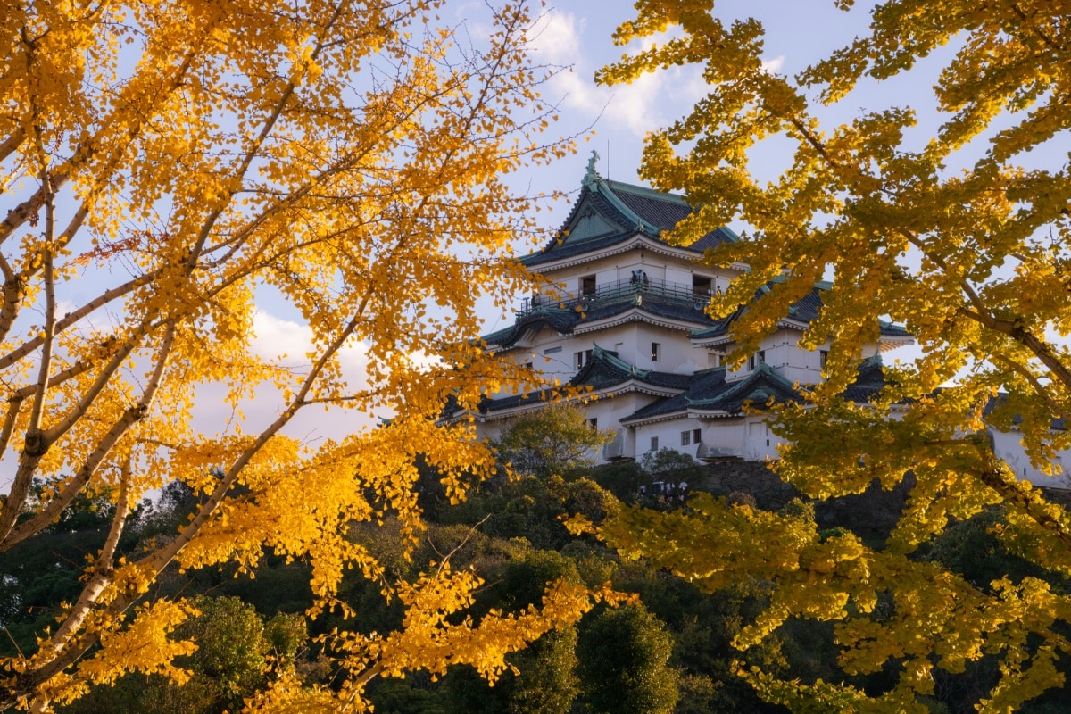 11. ปราสาทวากายามะ จังหวัดวากายามะ (Wakayama Castle, Wakayama)