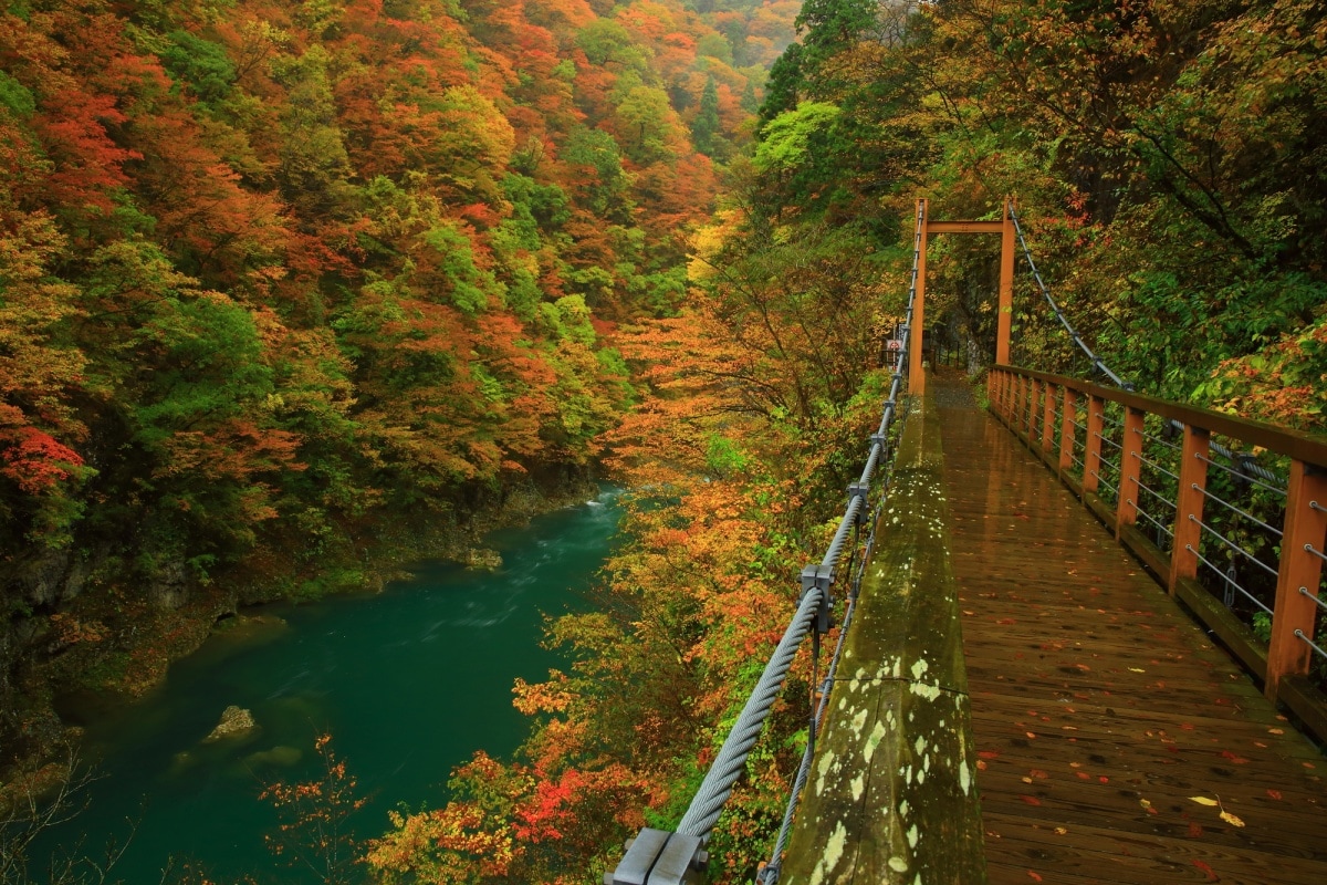 13. หุบเขาดาคิกะเอริ จังหวัดอาคิตะ (Dakigaeri Valley, Akita)