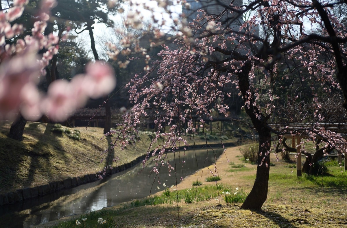 Koishikawa Korakuen