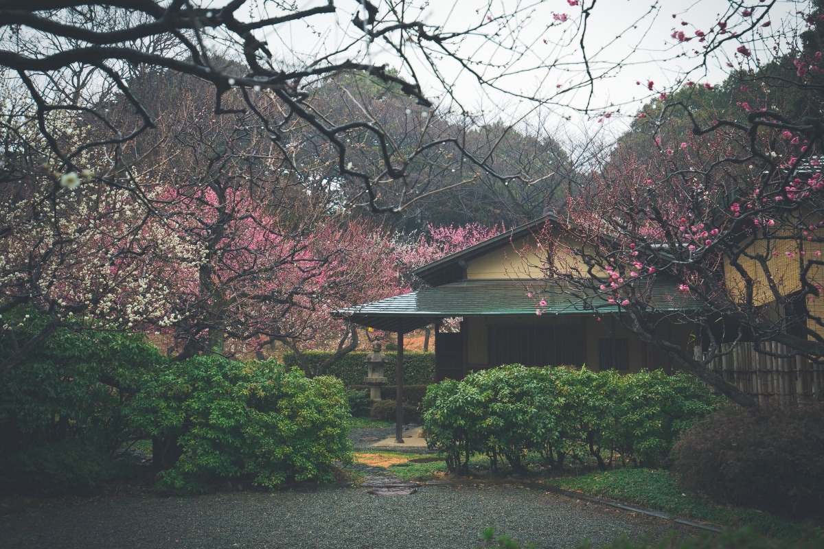 Shinjuku Gyoen National Garden