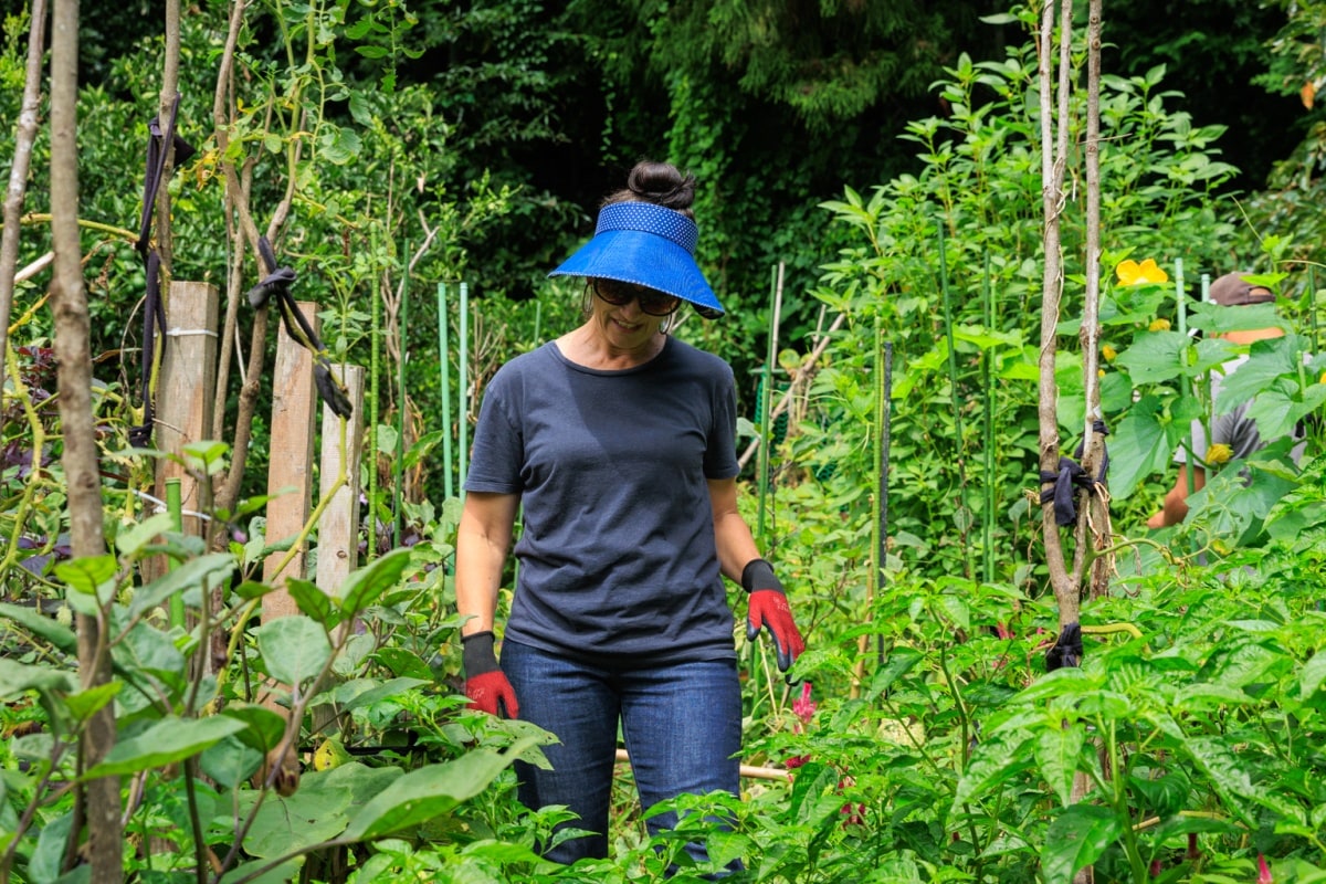 Rosie Maloney: Guesthouse Owner and Farmer