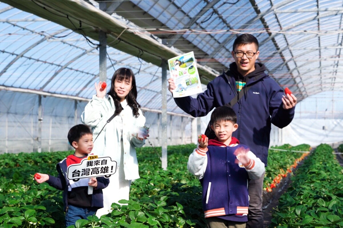 到「館山草莓園」體驗早春最具人氣摘果吃到飽