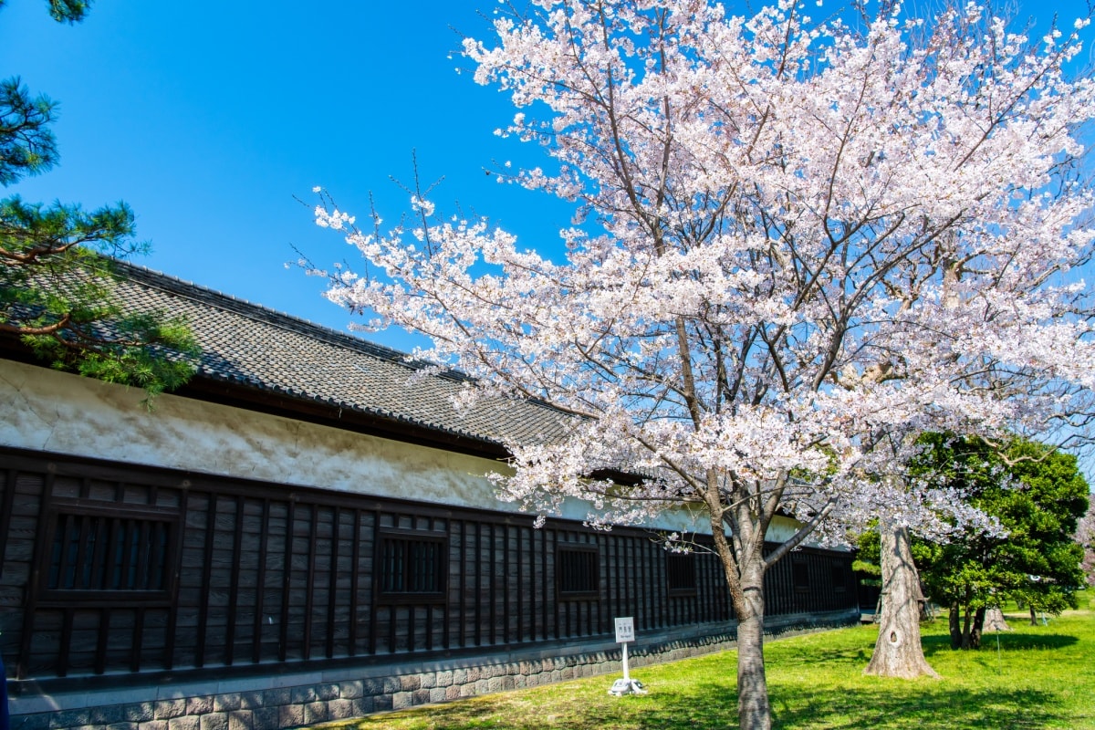 ■東京賞櫻推薦景點6：皇居東御苑