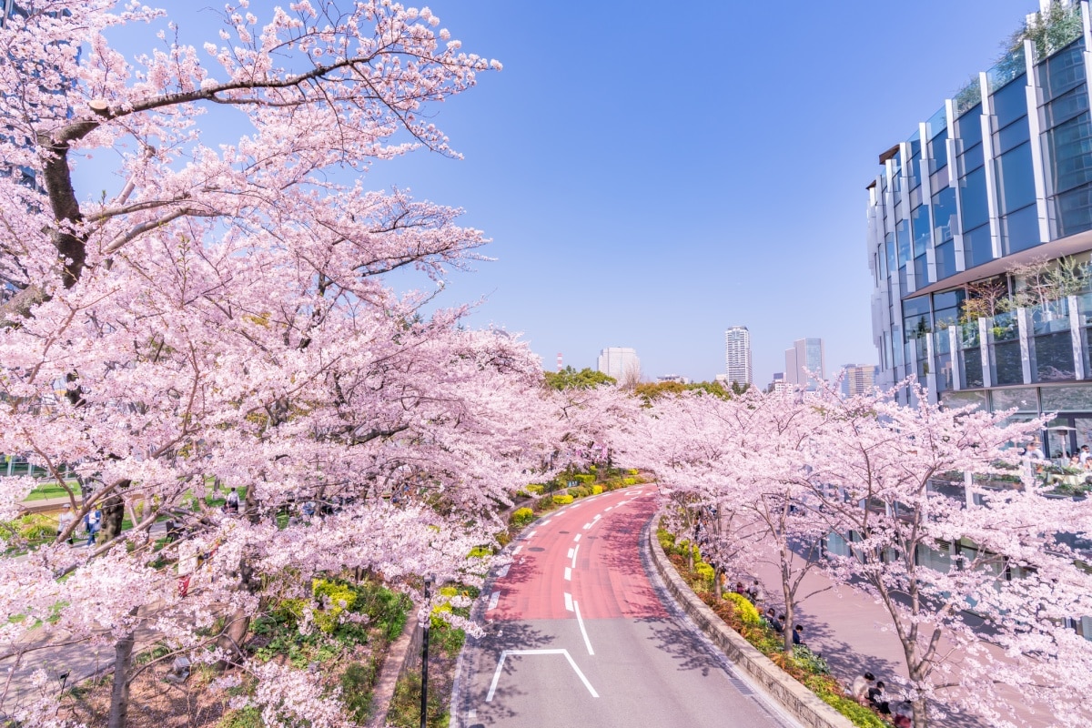 5. โตเกียวมิดทาวน์  (Tokyo Midtown: 東京ミッドタウン)