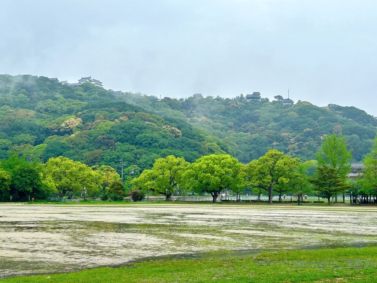 松山城