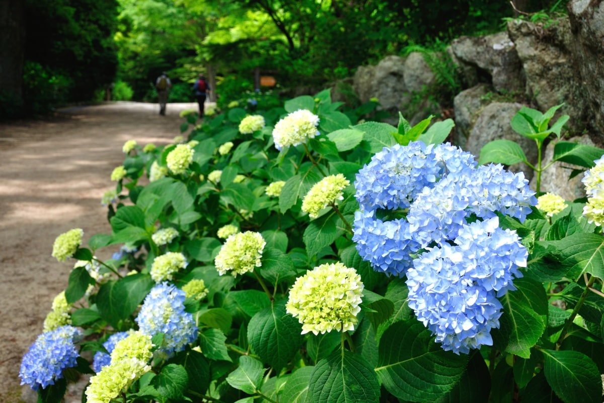 兵库县:神户森林植物园