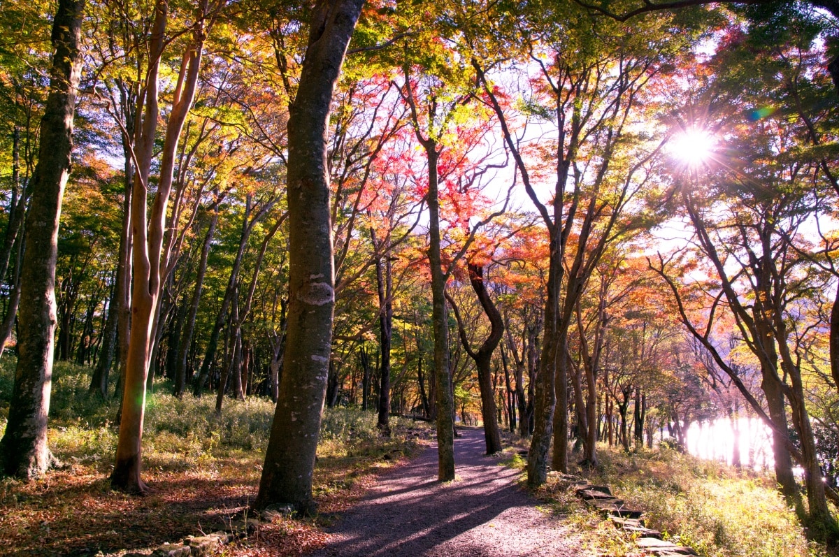 湖尻园地