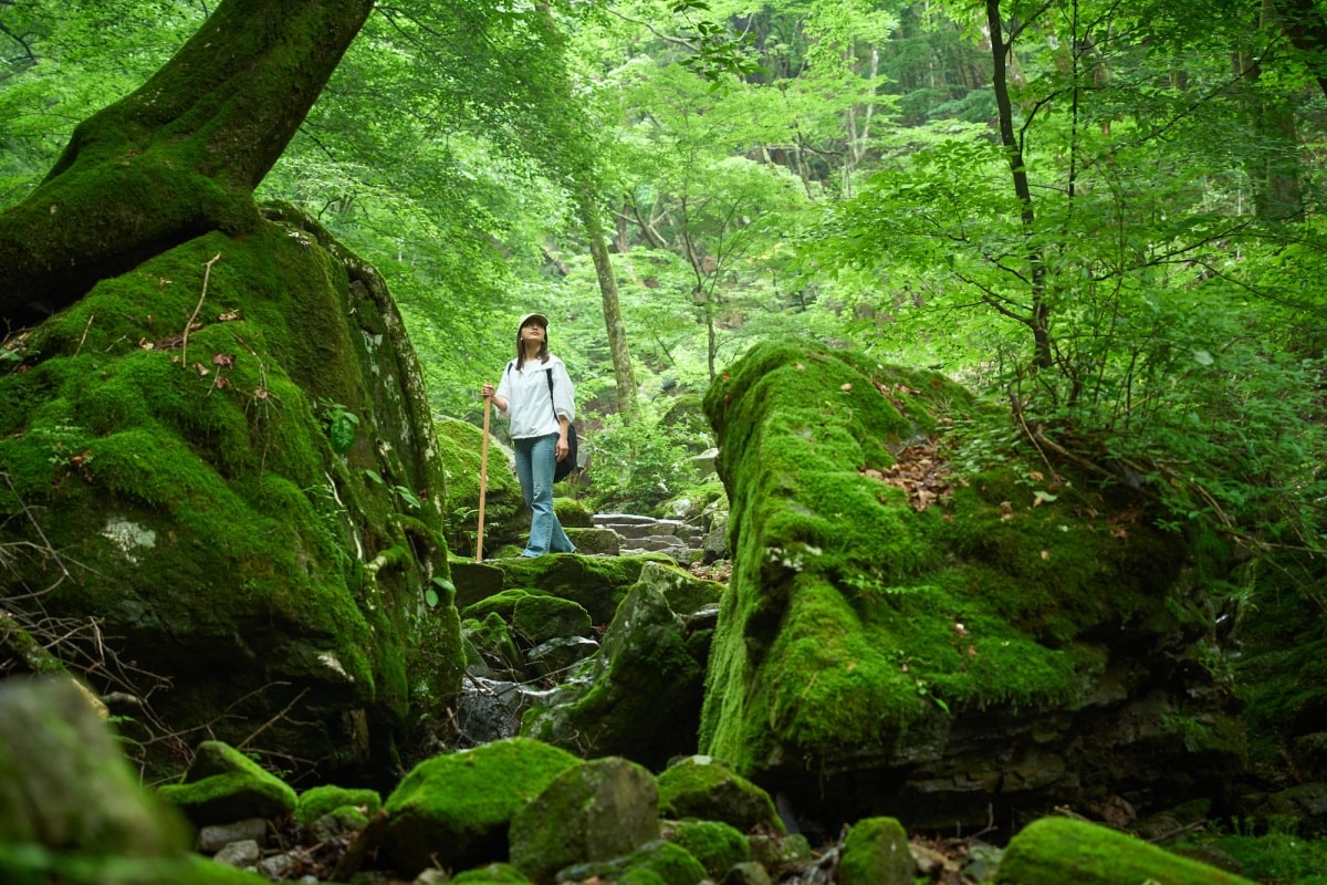 The Appeal of Guided Model Tours