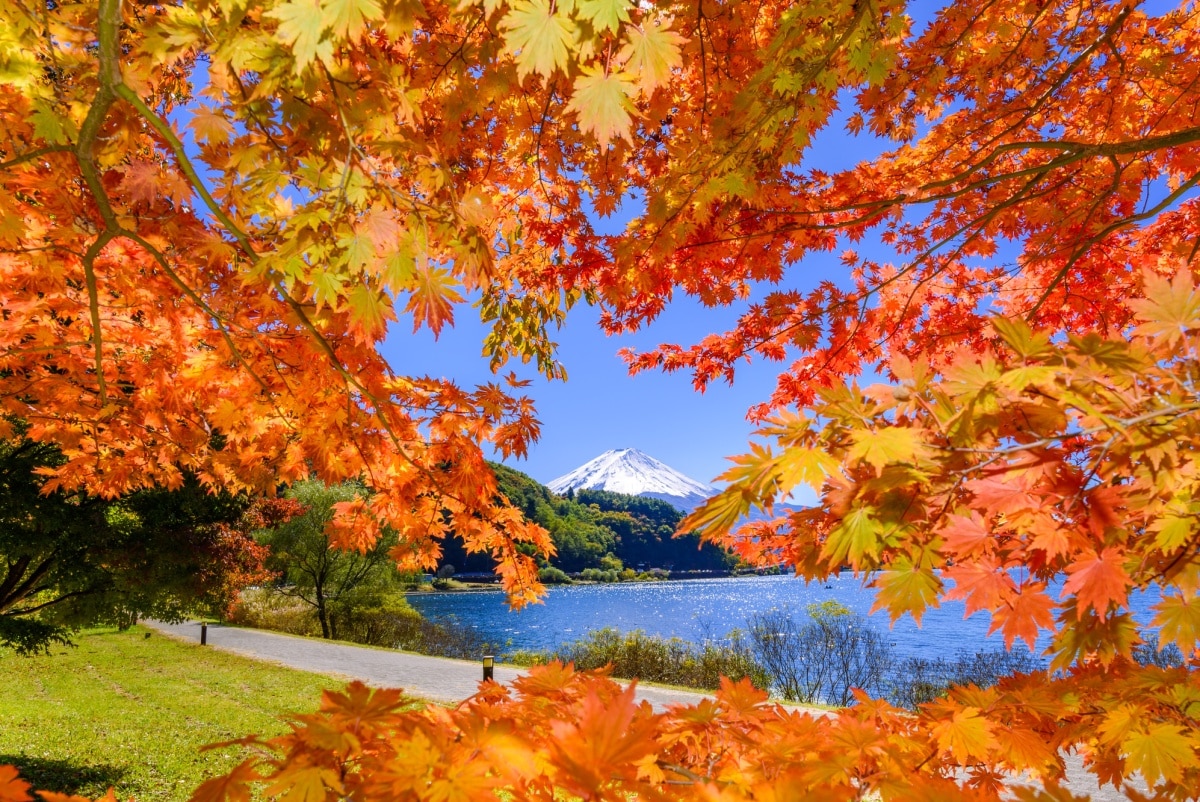 河口湖北岸 | 山梨县