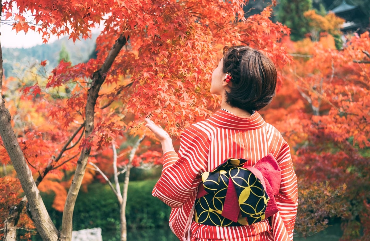 秋日旅行小贴士