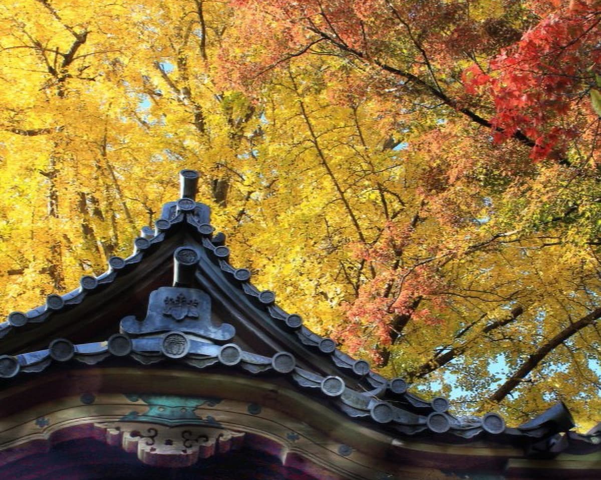 歴史と自然が織りなす、秋の三溪園を歩く