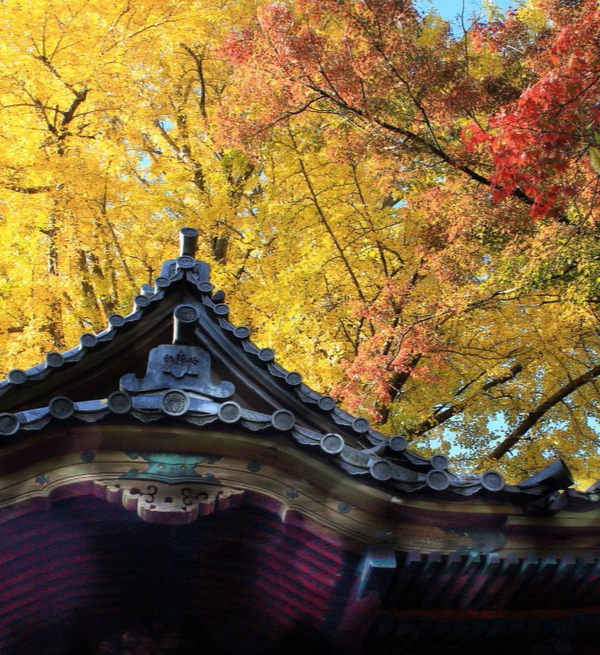 Walking Through Sankeien: Where History and Nature Intertwine