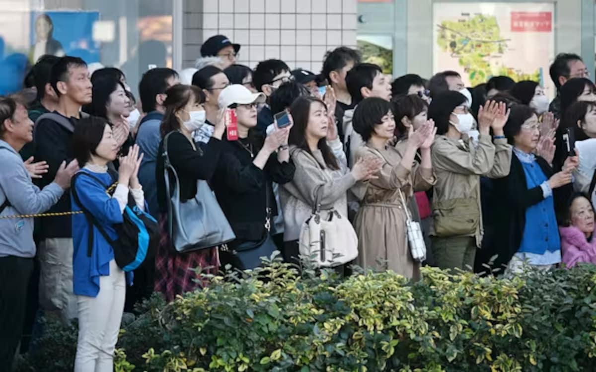 旧媒体（Old Media）