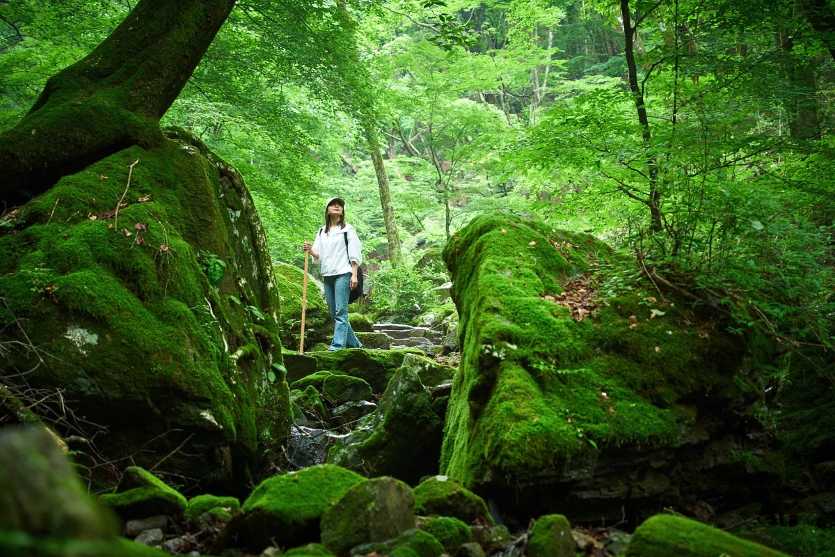Fourth Wellness (Akiruno / Mitake): An adventure-tourism tour on Mt. Mitake