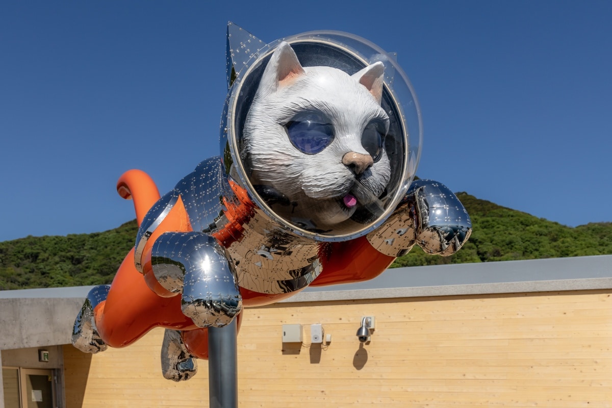 Getting There--and Around