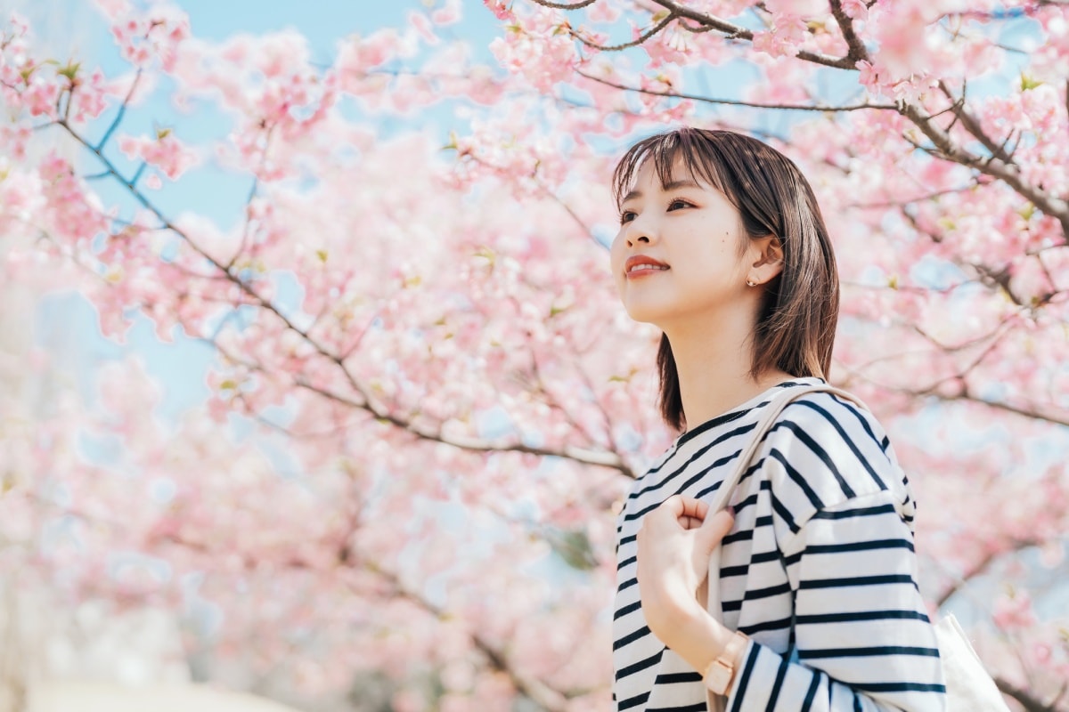 樱花背后的“时间齿轮”