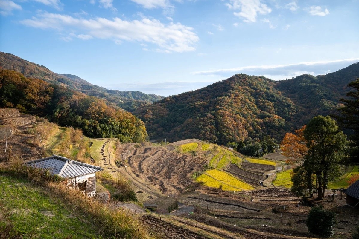 鹽與陽光孕育的島嶼