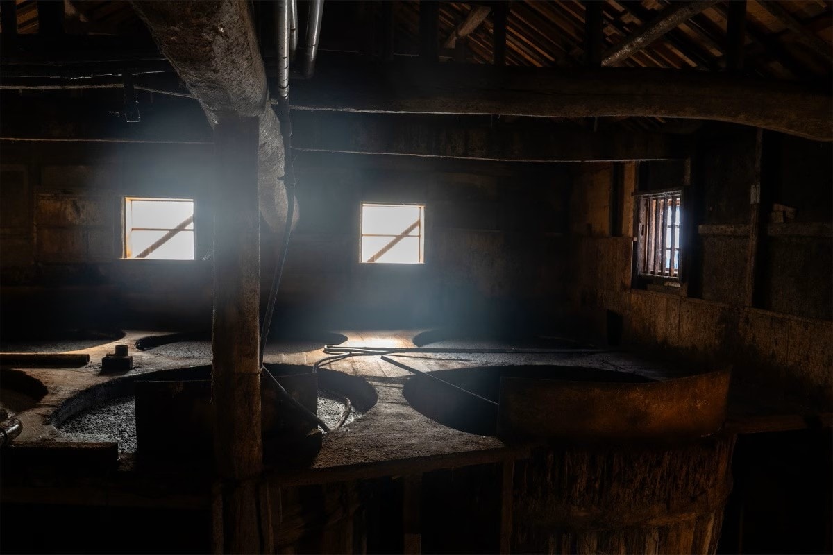 走進發酵的世界