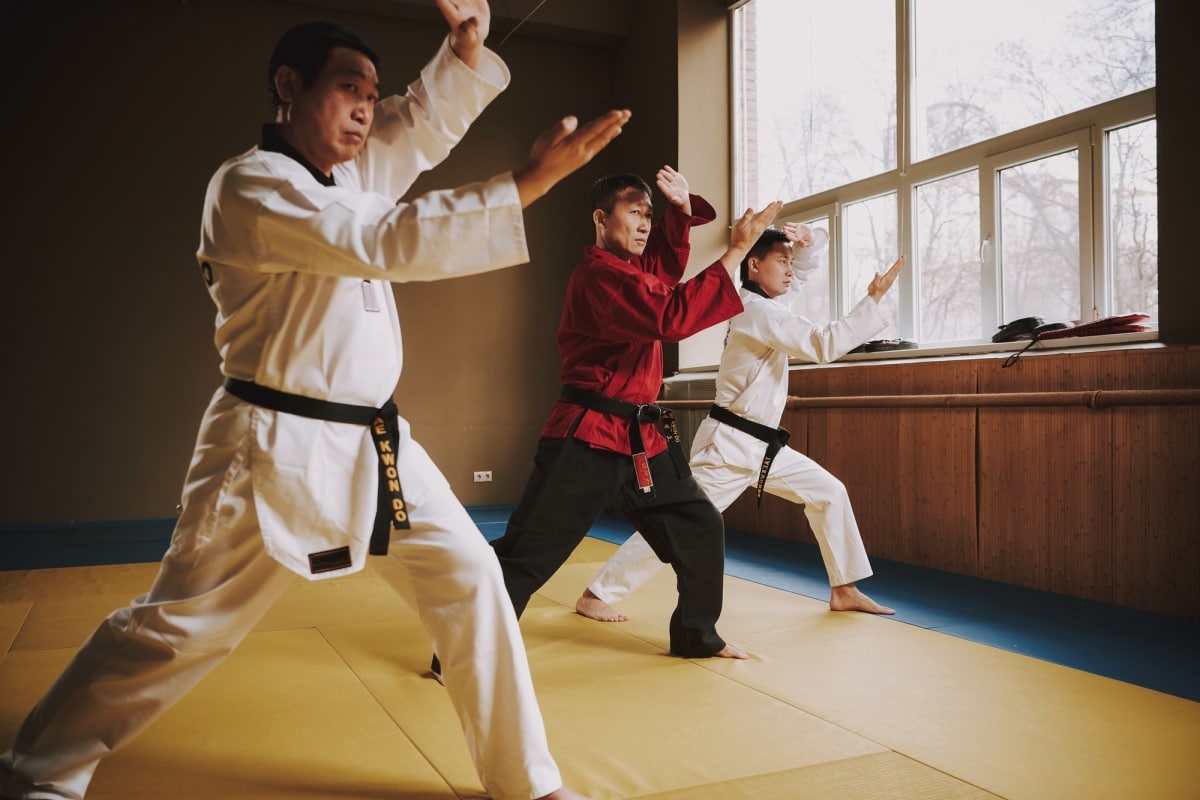 คาราเต้ (Karate)