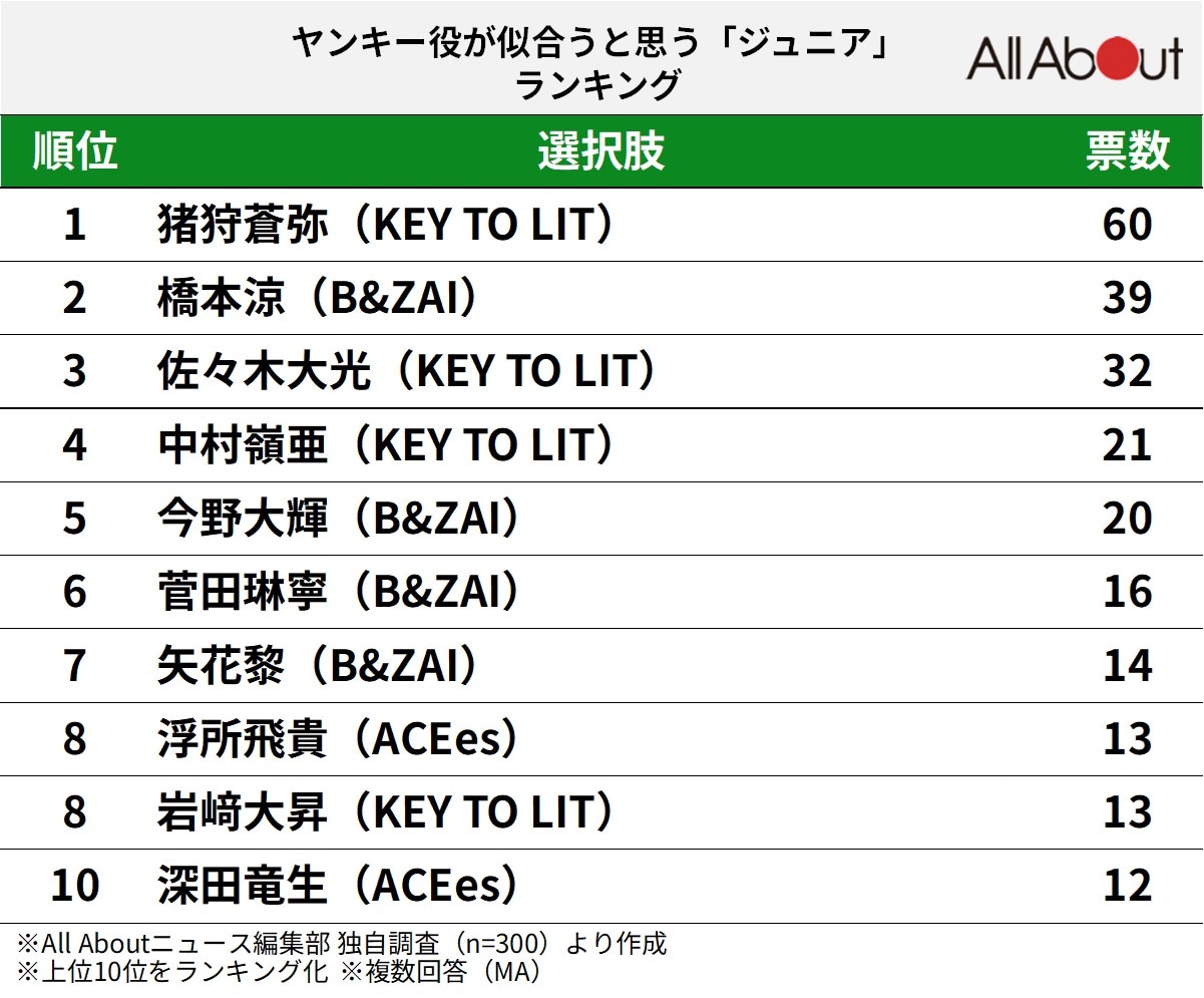 ヤンキー役が似合うと思う「ジュニア」ランキング